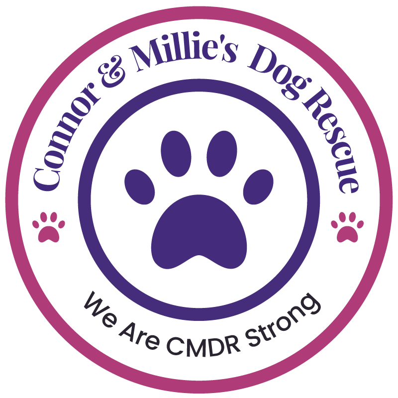 Connor and Millies Dog Rescue